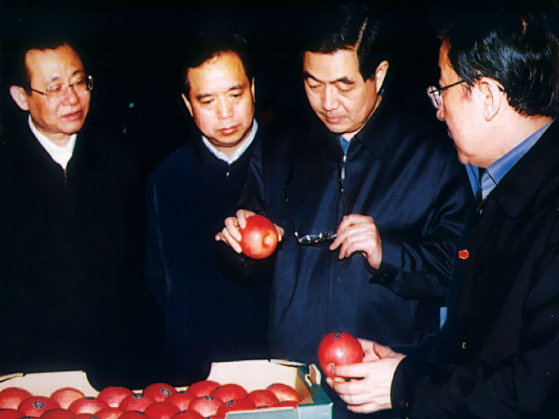 2004年4月12日，胡锦涛总书记在省委书记李建国和省长贾治邦的陪同下，视察华圣果业公司。.jpg